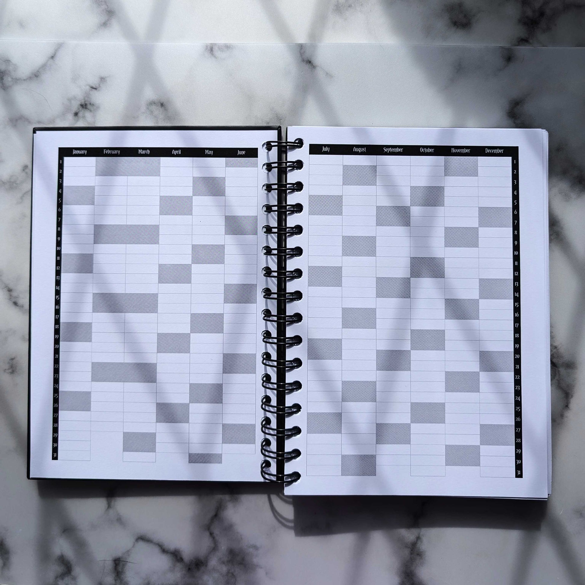 Inside the 2025 Planner by Gothic office.  It's a two page layout showing a yearly overview with the months across the top and the dates down the sides. 